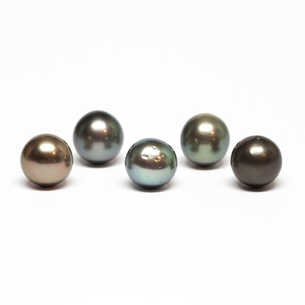 Near round tahiti cultured pearls, Multi Dark, 11-12mm, C/C+ quality