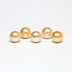 South Sea golden pearls, Round shape, 12,5-13mm, C/C+ quality